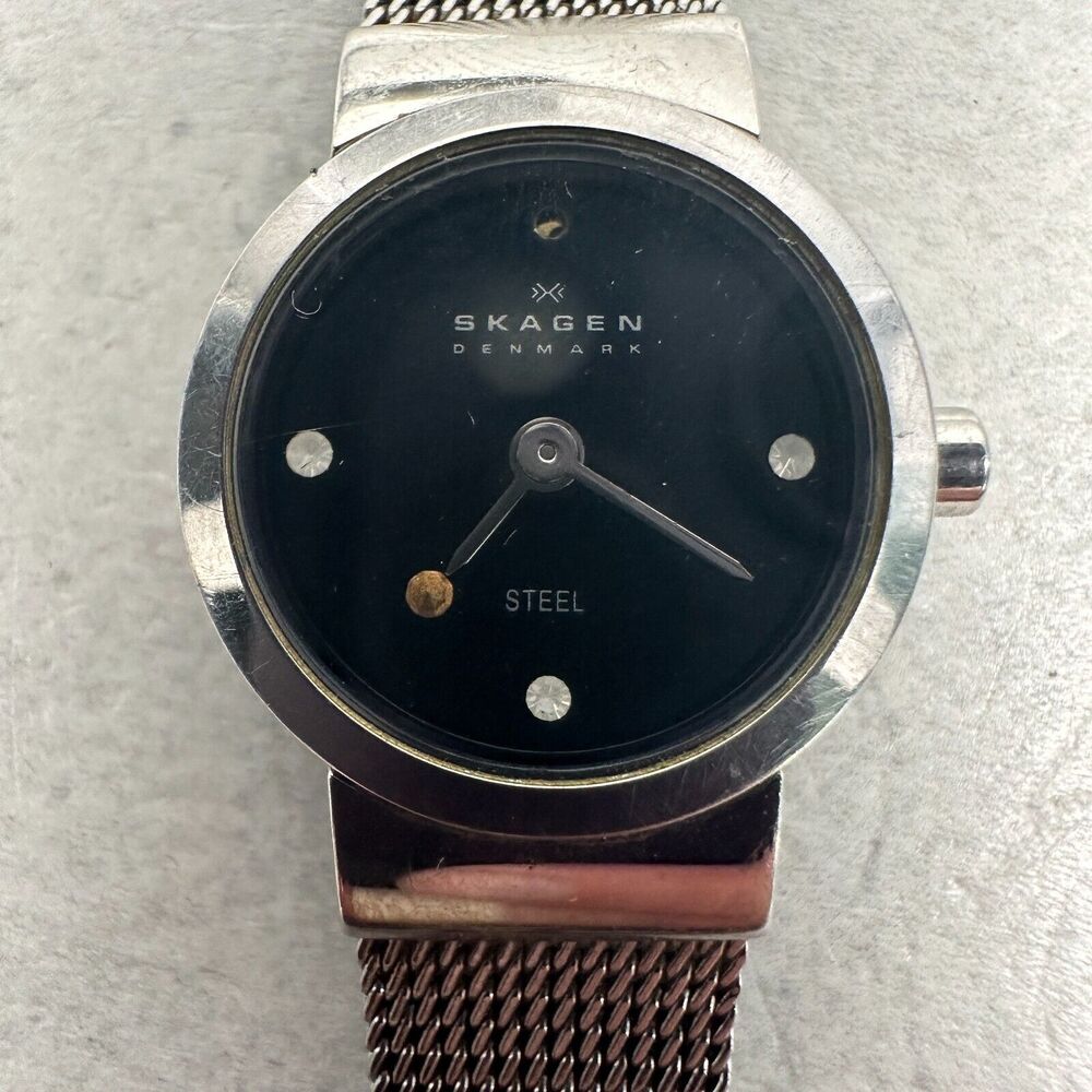 Skagen Watch Womens 19mm Round Slim Mesh Band Silver Tone New Battery READ